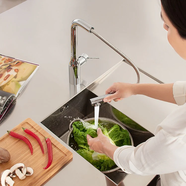Essence Single Handle Pull-Out Kitchen Faucet - Rockland Interiors Inc.