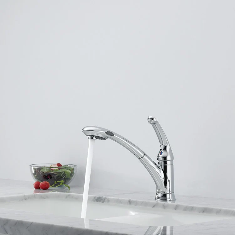 Signature Single Handle Pull Out Kitchen Faucet - Rockland Interiors Inc.